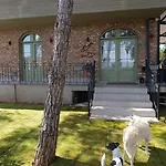 Kumkat מלון